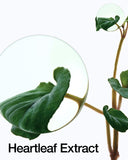 Heartleaf 70% 强力镇静霜