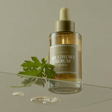 Mugwort Serum