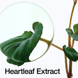 Heartleaf 77% Toner Pad