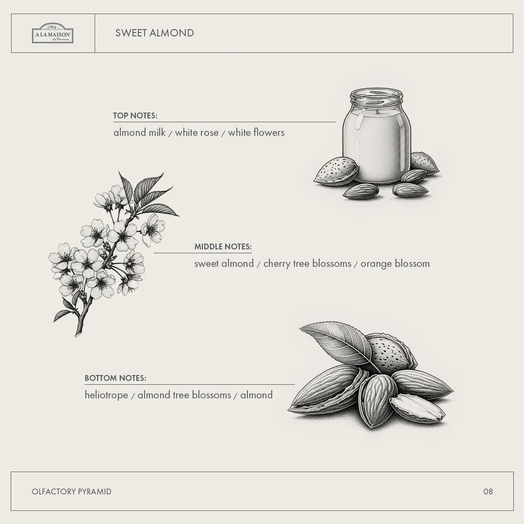 Sweet Almond Hand & Body Lotion