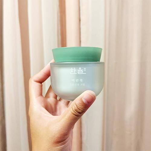 韩律 Pure Artemisia Watery Calming Cream - M Review 105 