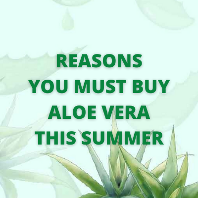 Reasons Why You Need To Add Aloe Vera to Your Summer Shopping List