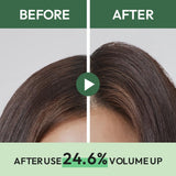 Amos Professional Green Tea Shampoo Revitalizing
