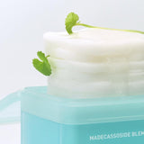 Madecassoside Blemish Pad