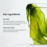 Refreshing Sea Kelp Real Deep Mask 1 Box of 4 Sheets