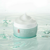 Hyaluronic Moisture Cream, 100ml