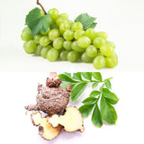 Essential C's Konjac Jelly Green Grape