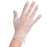 Noble Powder-Free Vinyl Gloves (Large) - 100 PCS