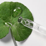 Cicaful Ampoule